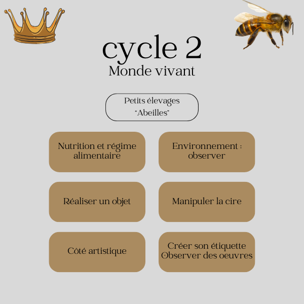 Cycle 2
